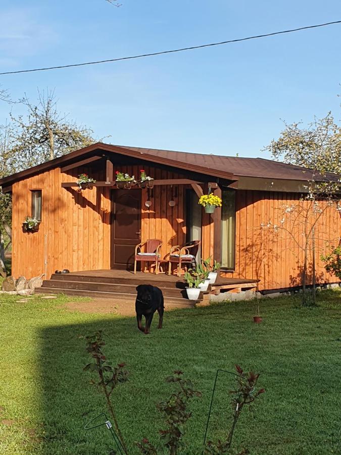 Ausmas Holiday home
